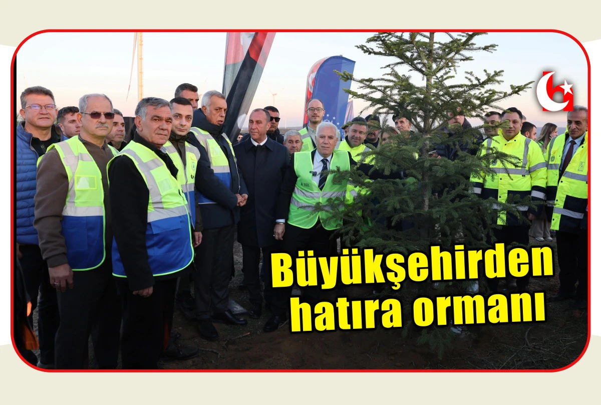 B&uuml;y&uuml;kşehirden hatıra ormanı