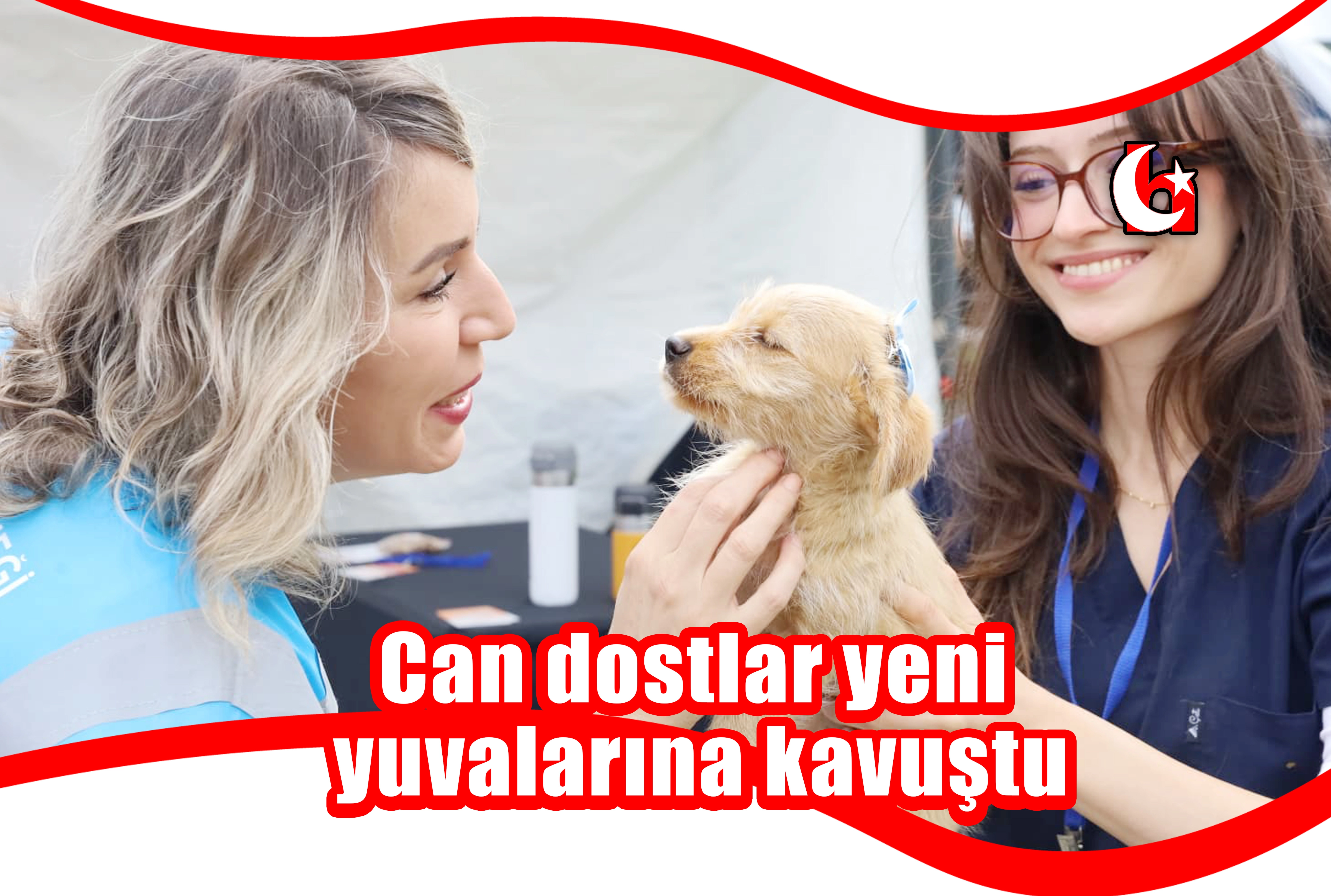 Can dostlar yeni yuvalarına kavuştu
