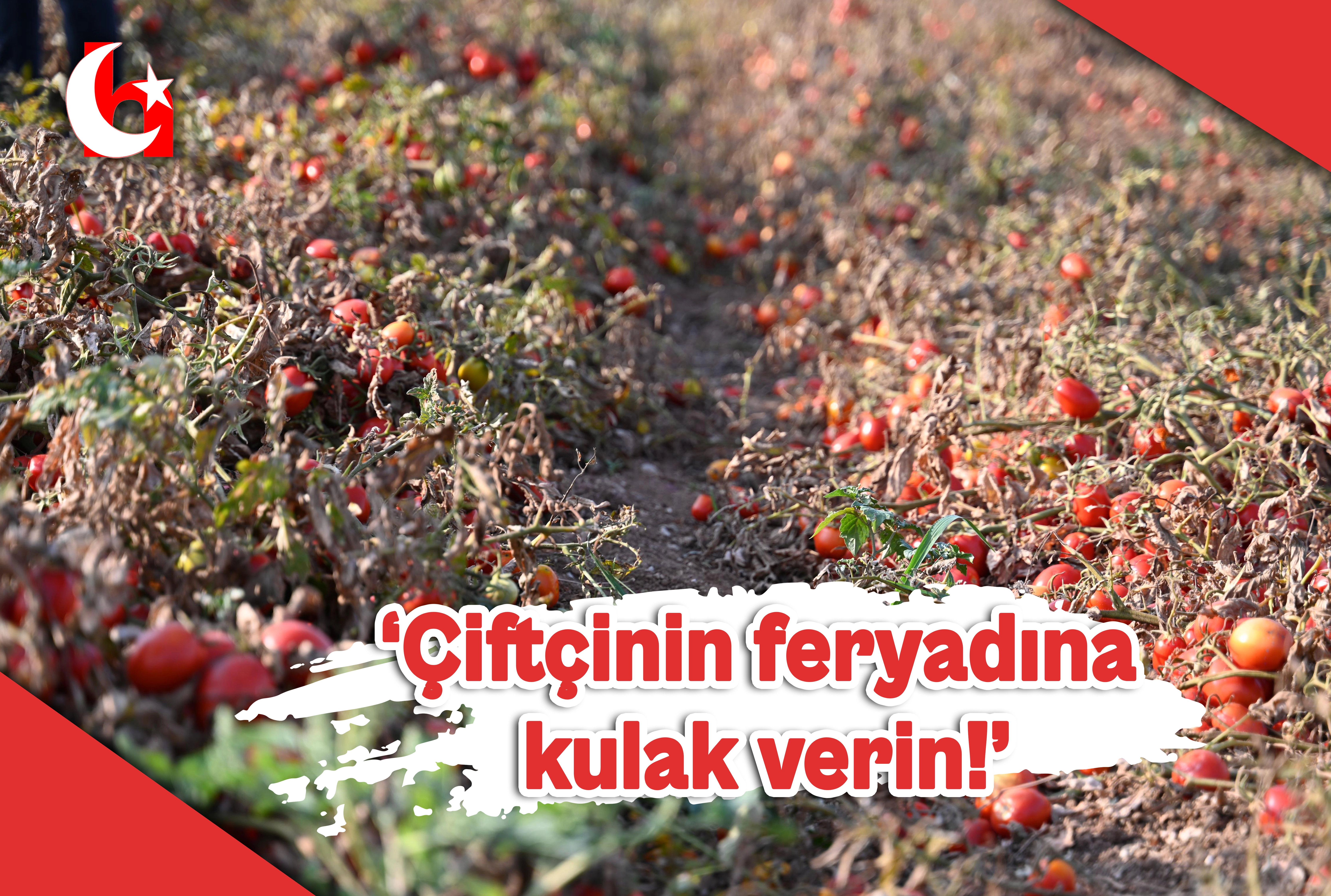 &lsquo;&Ccedil;ift&ccedil;inin feryadına kulak verin!&rsquo;