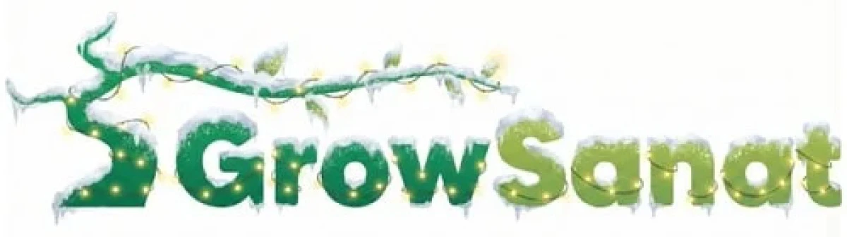 Ev Ortamında Bitki Bakım Rutini Nasıl Olmalı? G&uuml;nl&uuml;k ve Haftalık Olarak Neler Yapılmalı?