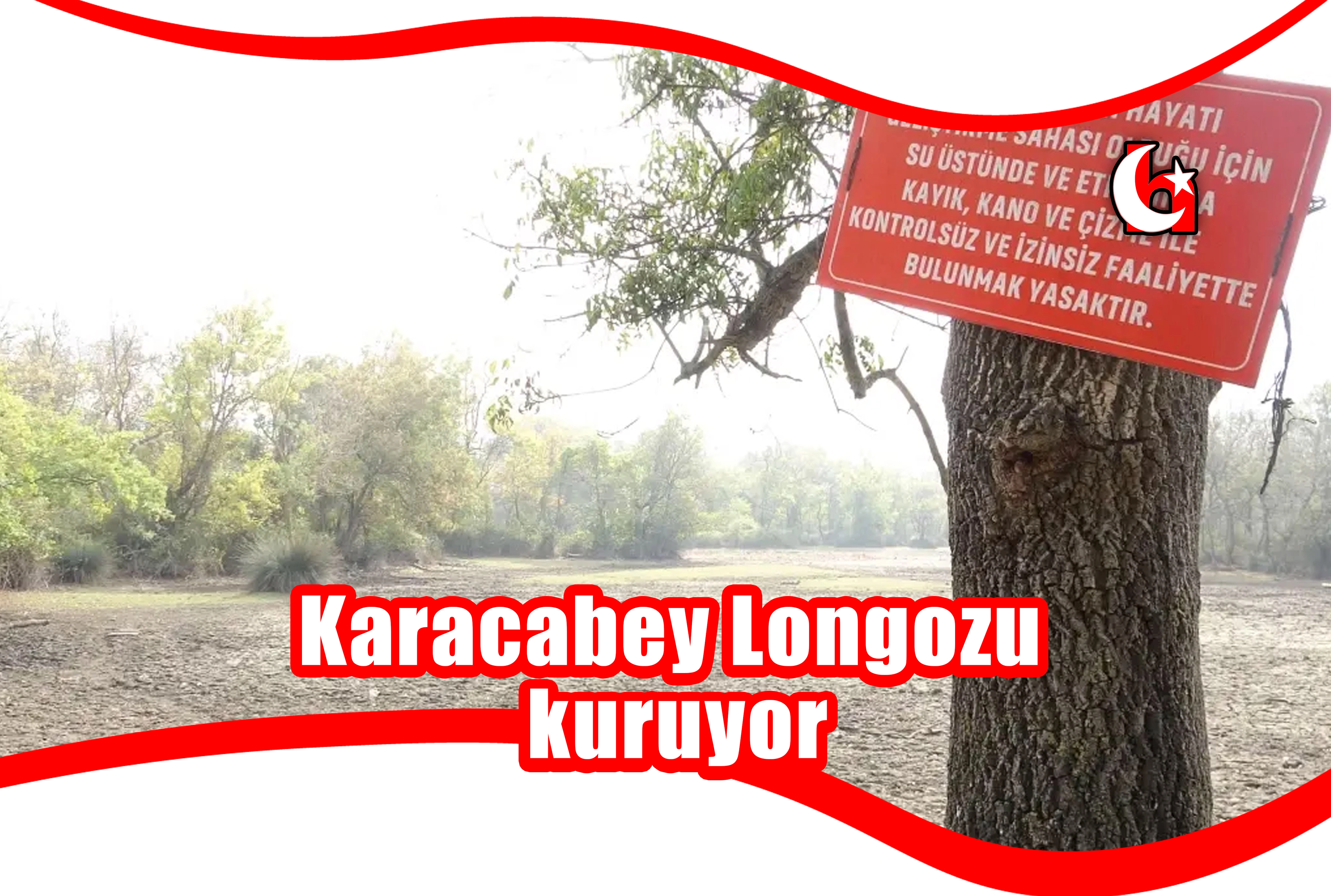 Karacabey Longozu kuruyor