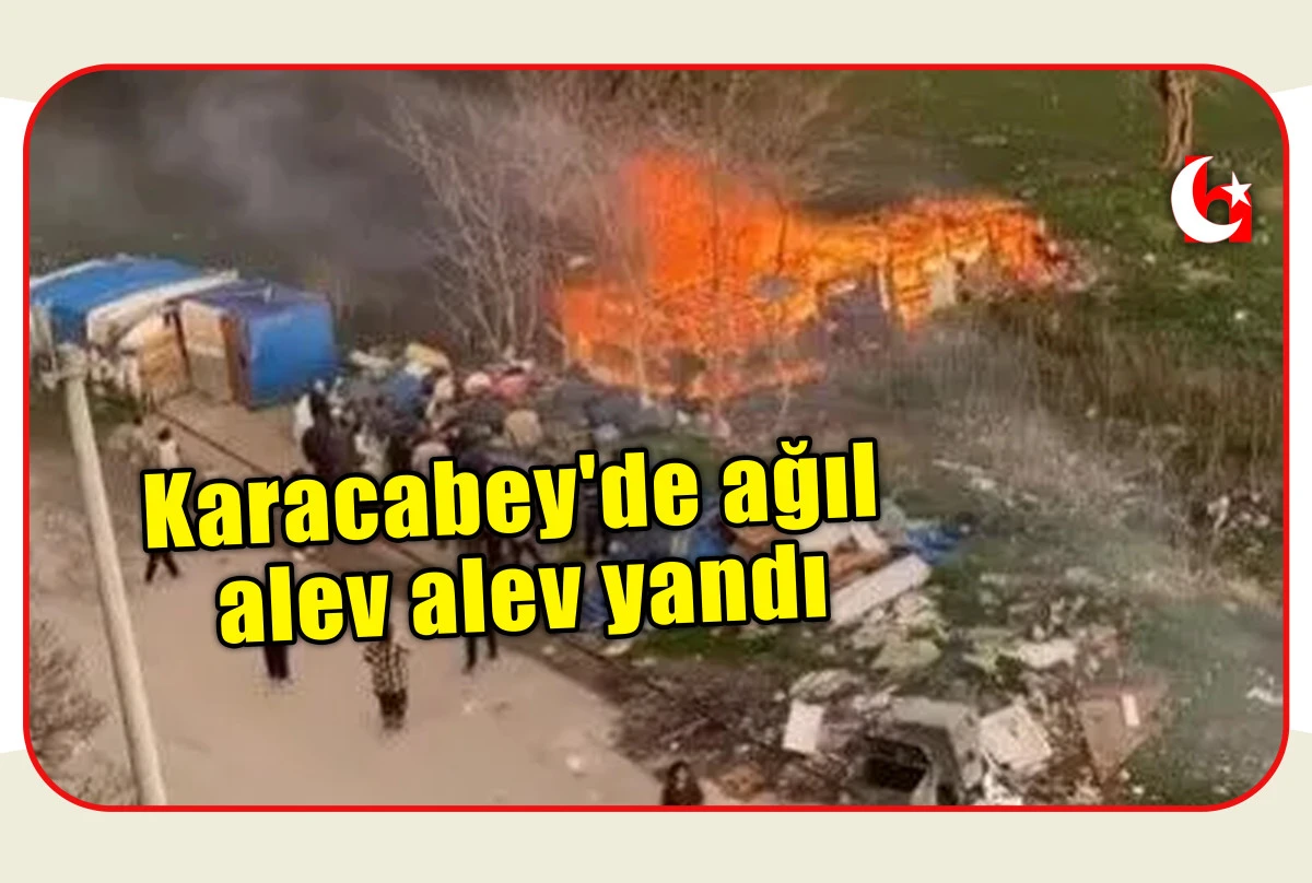 Karacabey'de ağıl alev alev yandı