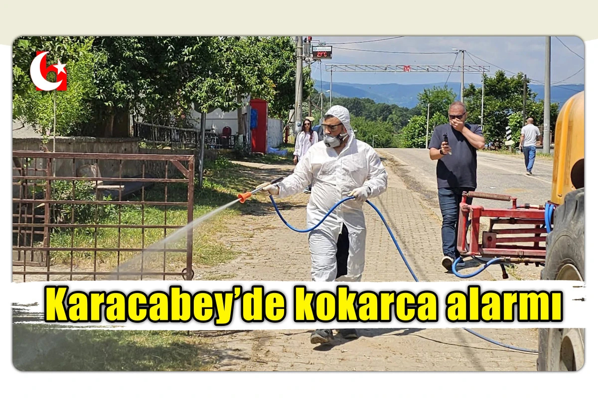 Karacabey&rsquo;de kokarca alarmı