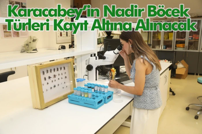 Karacabey’in Nadir Böcek Türleri Kayıt Altına Alınacak