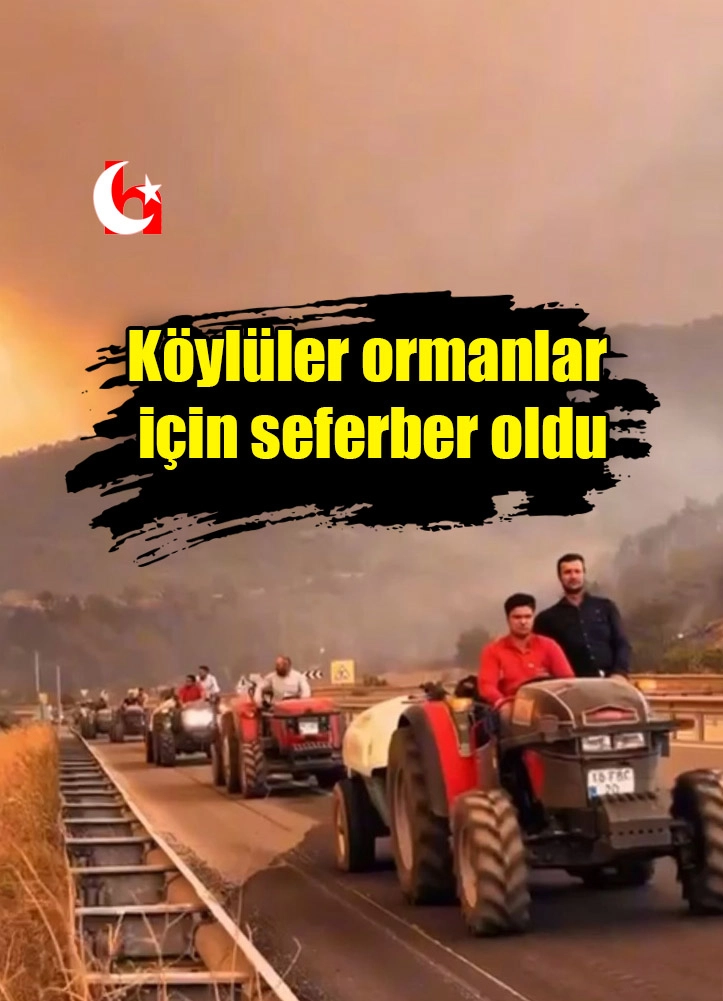 Köylüler ormanlar için seferber oldu