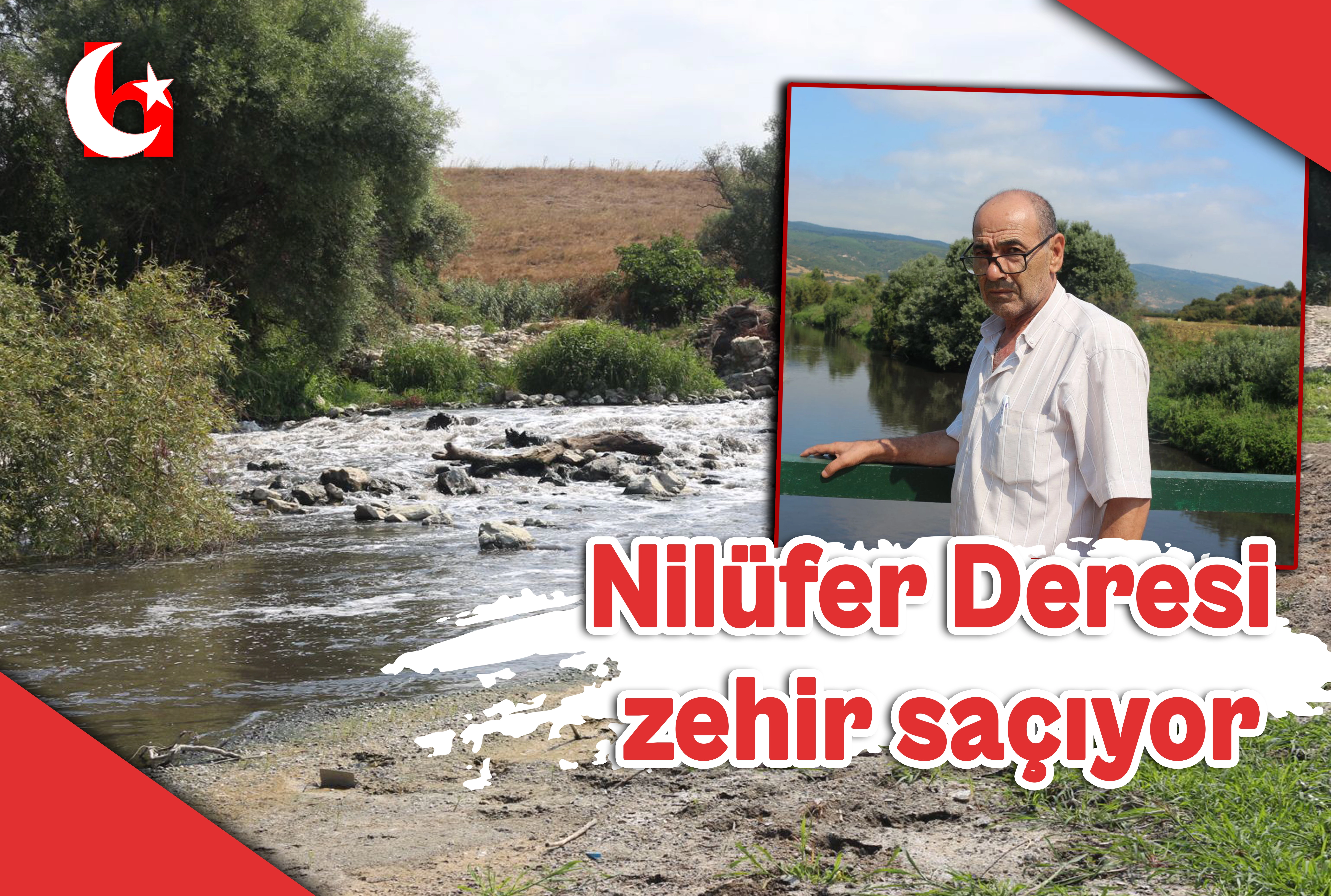 Nil&uuml;fer Deresi zehir sa&ccedil;ıyor