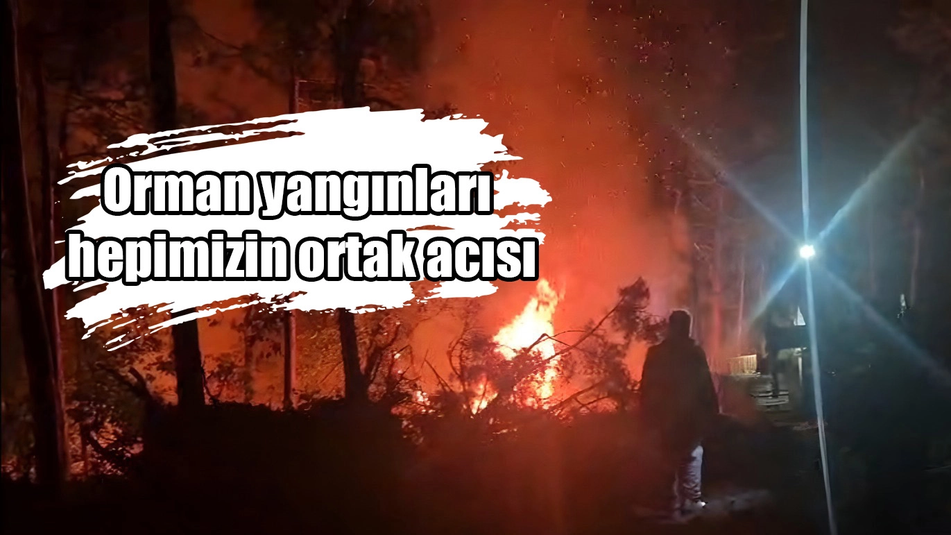 Orman yangınları hepimizin ortak acısı