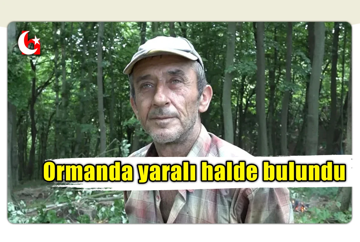 Ormanda yaralı halde bulundu