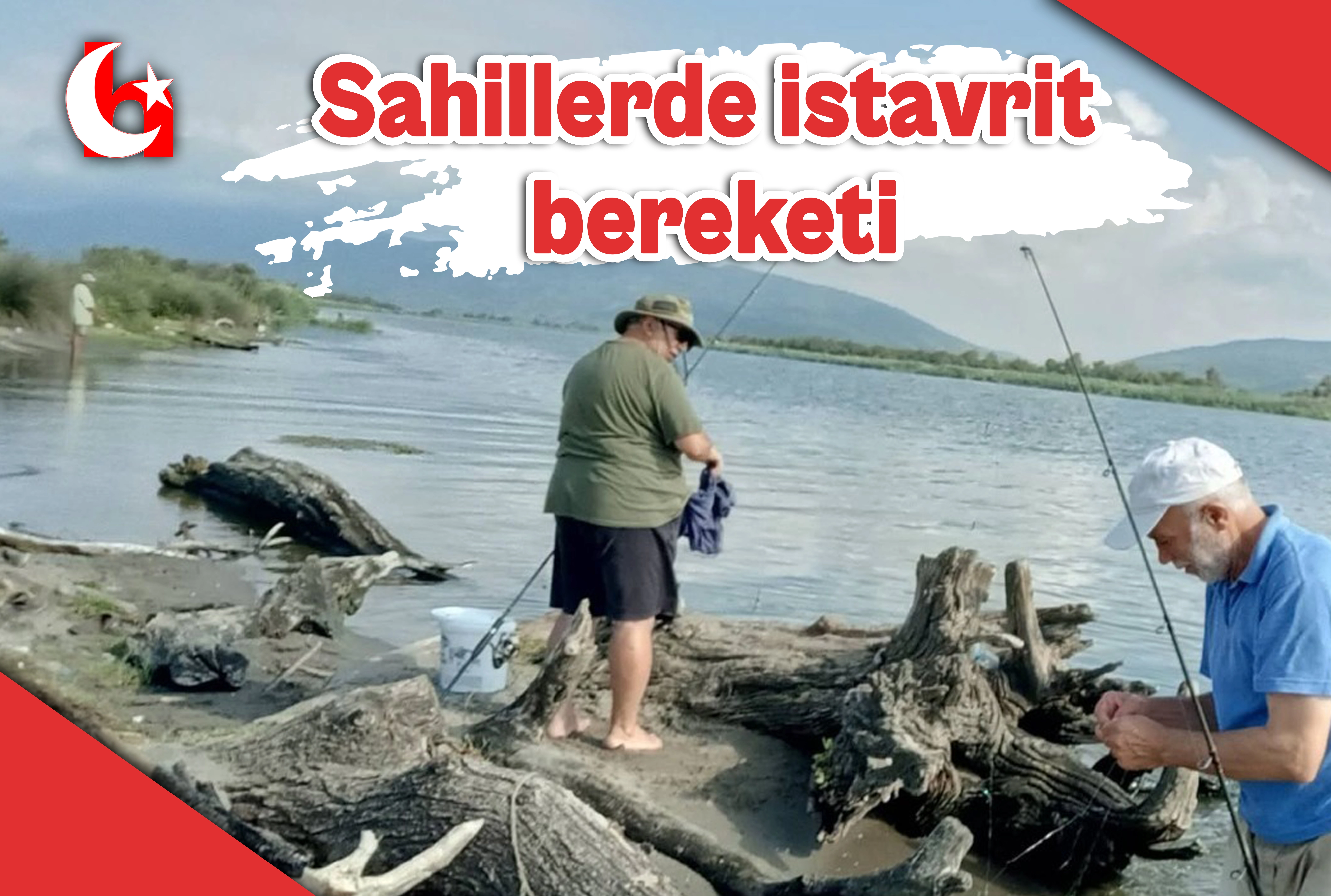 Sahillerde istavrit bereketi