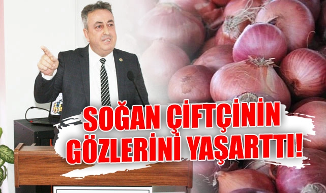 SOĞAN ÇİFTÇİNİN GÖZLERİNİ YAŞARTTI!