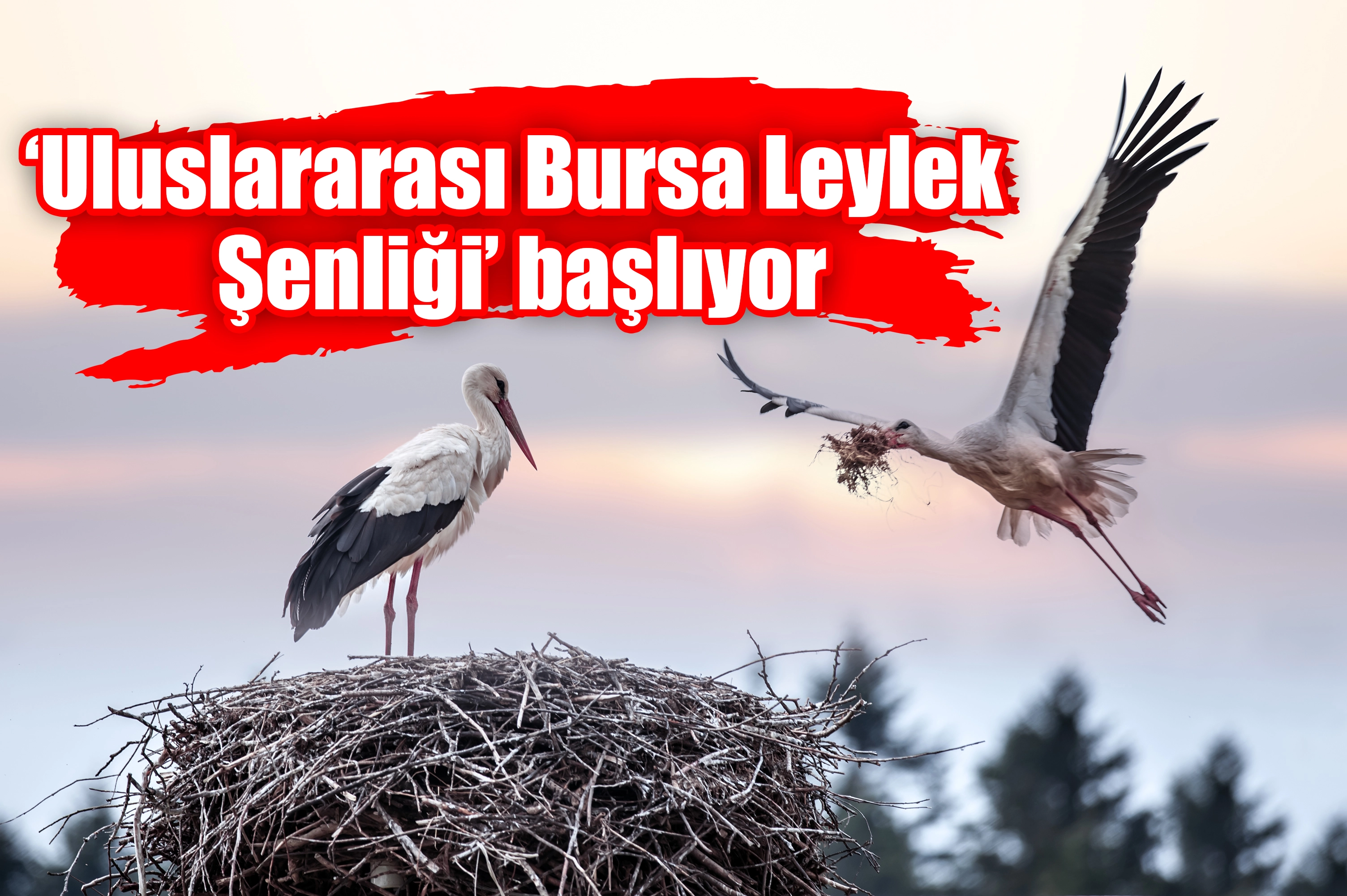 ‘Uluslararası Bursa Leylek Şenliği’ başlıyor