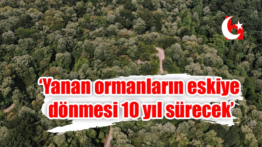 'Yanan ormanların eskiye dönmesi 10 yıl sürecek'