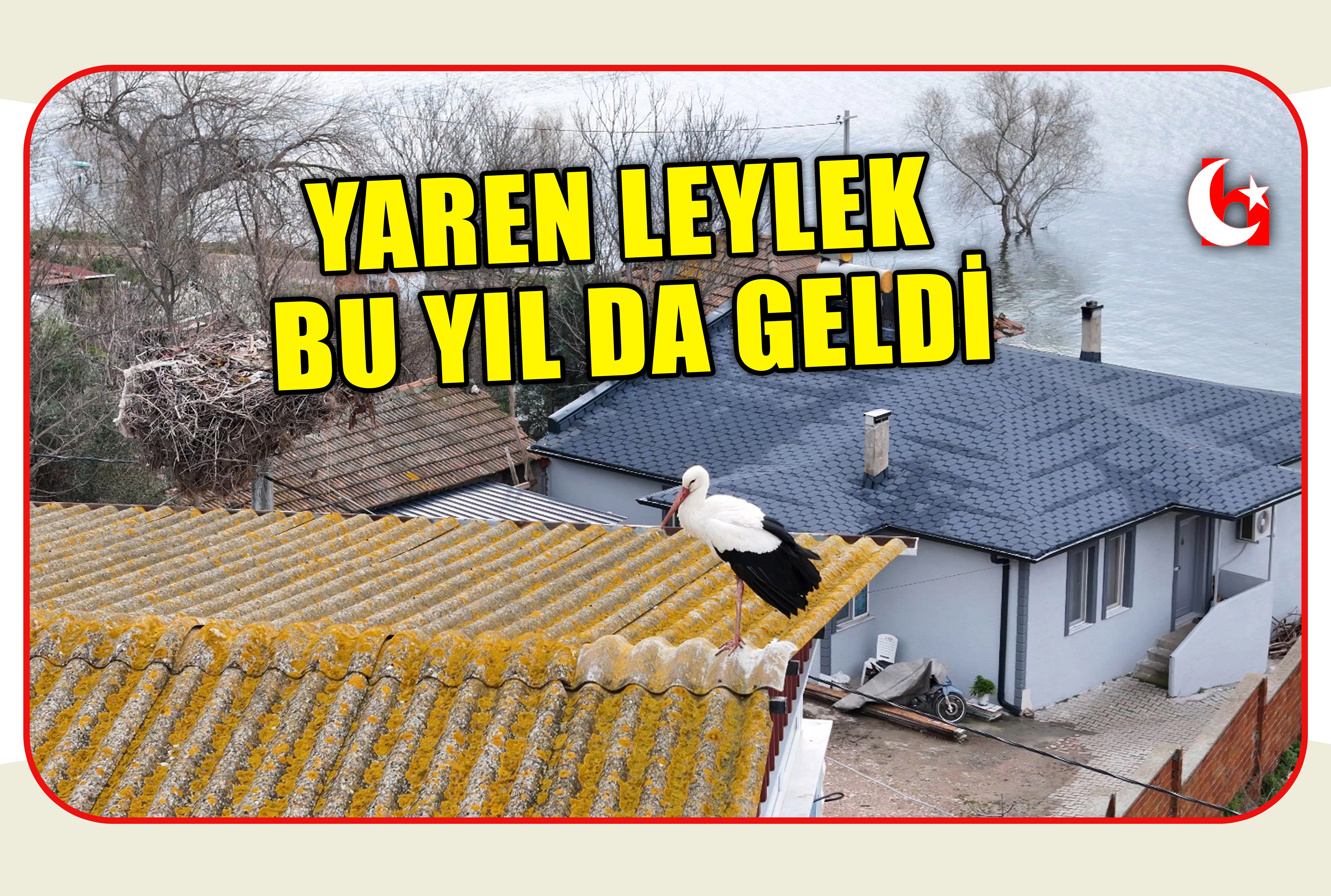 YAREN LEYLEK BU YIL DA GELDİ